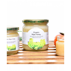 HEXAPI 德國原生有機油菜蜜 (250克)