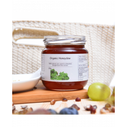 HEXAPI 德國原生有機蜂蜜露 (250克)