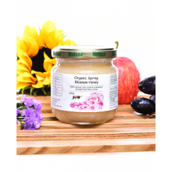 HEXAPI 德國原生有機春蕾蜂蜜 (250克)