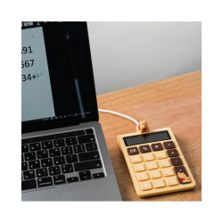 INFOTHINK 小熊維尼系列數字鍵盤計算機